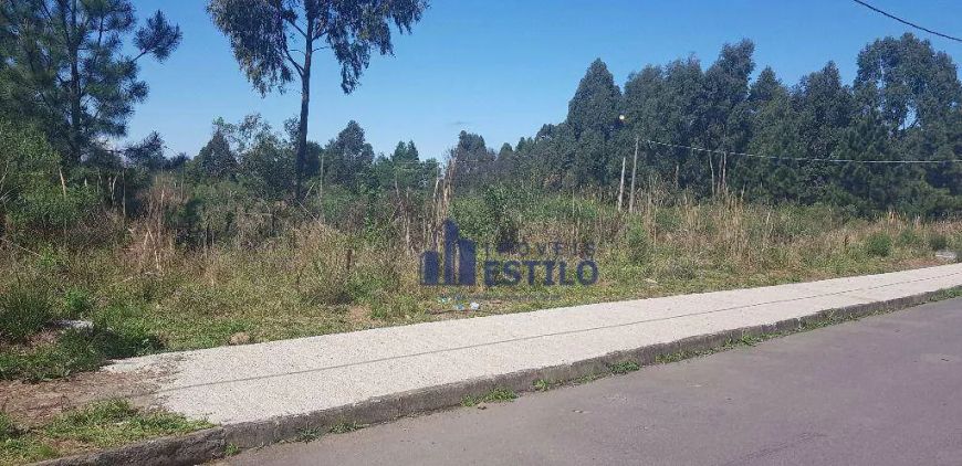 Terreno à venda, 714 m² por R$ 1.428.000,00 - Sanvitto - Caxias do Sul/RS