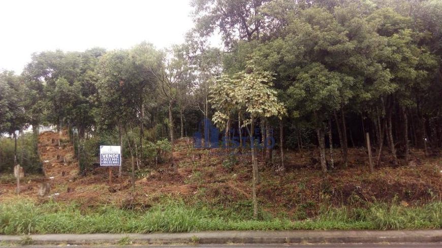Terreno à venda, 5278 m² por R$ 5.000.000,00 - Desvio Rizzo - Caxias do Sul/RS