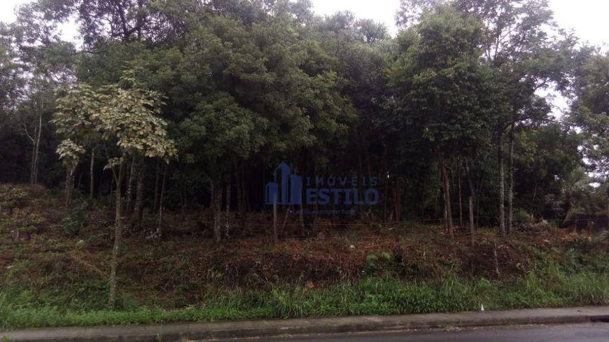 Terreno à venda, 5278 m² por R$ 5.000.000,00 - Desvio Rizzo - Caxias do Sul/RS