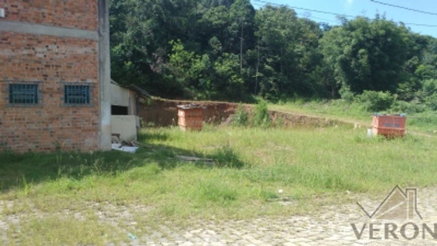 CAXIAS DO SUL - Terreno Padrão - São Leopoldo