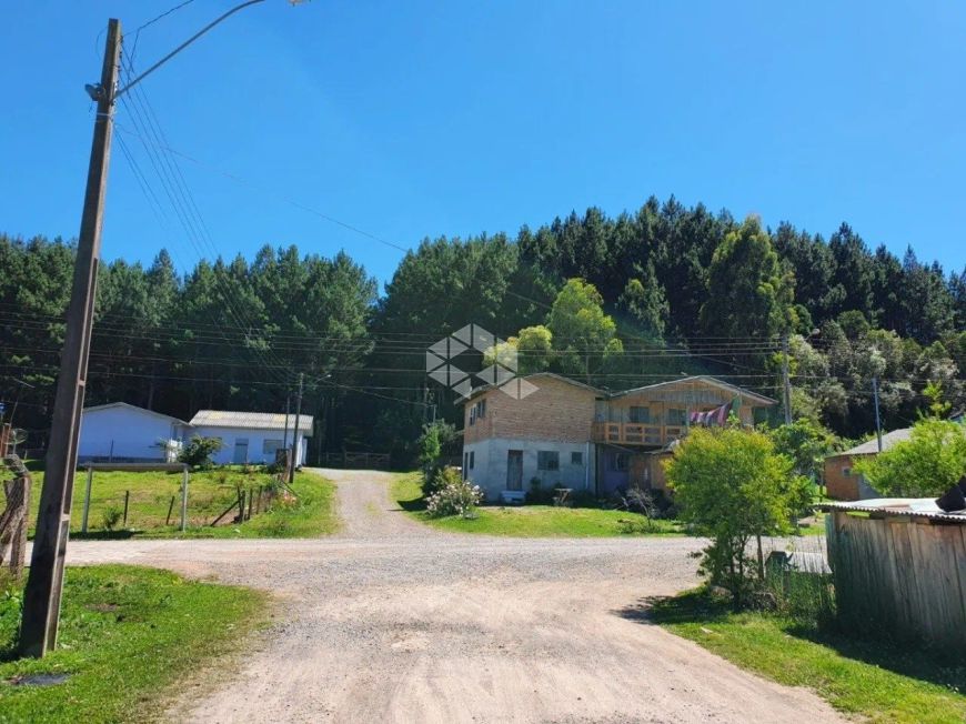 Fazenda de Pinus em Caxias do Sul