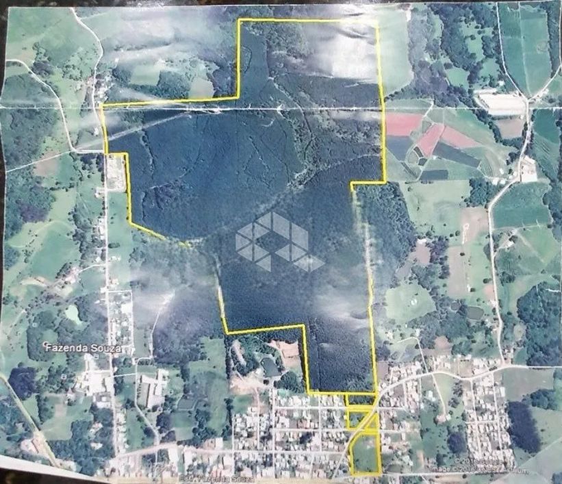 Fazenda de Pinus em Caxias do Sul