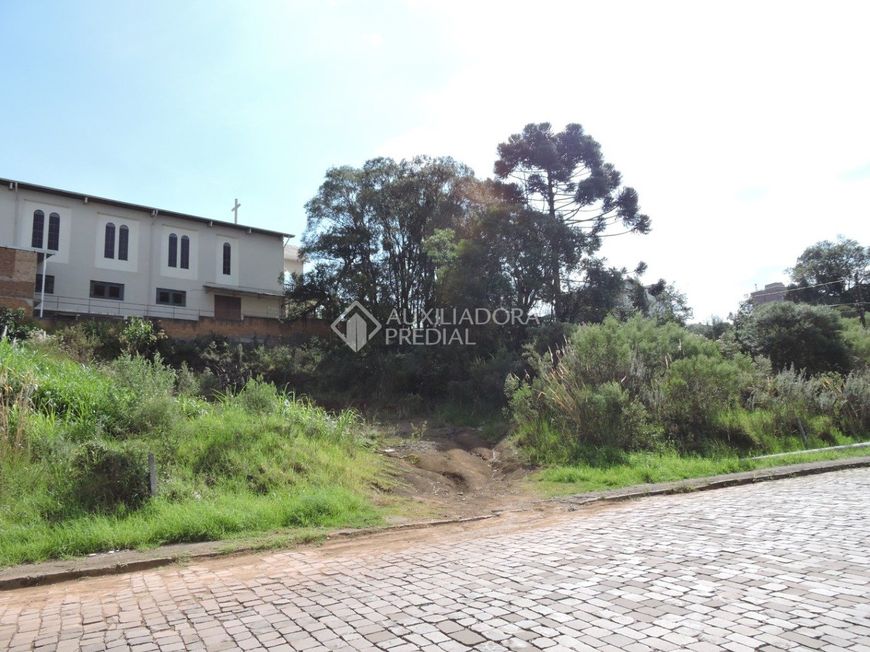 Terreno no bairro São Leopoldo