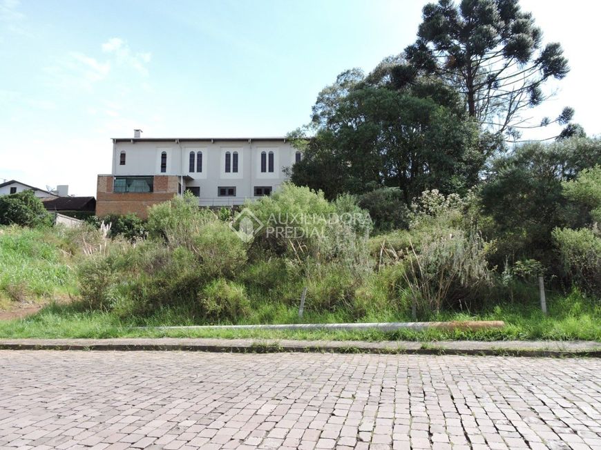 Terreno no bairro São Leopoldo