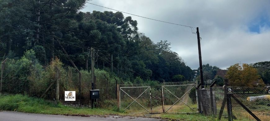 Venda de Área em Caxias do Sul-RS, bairro Pedancino