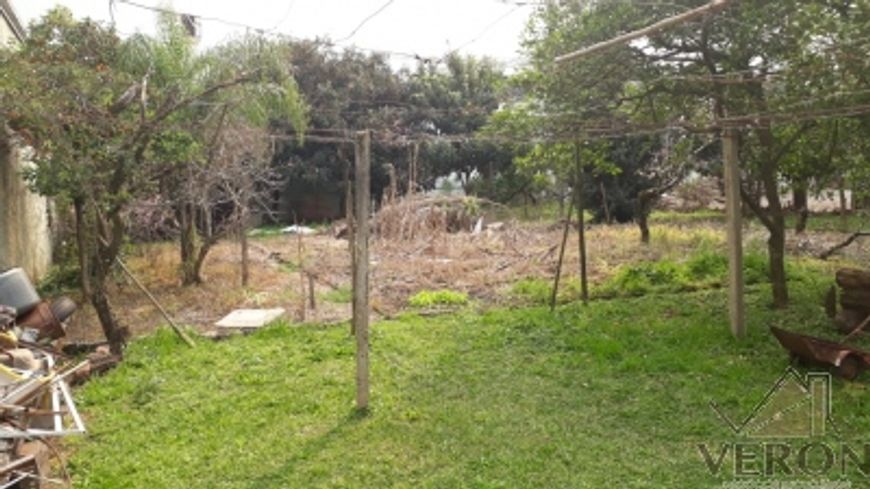 Terreno Marcos Martini