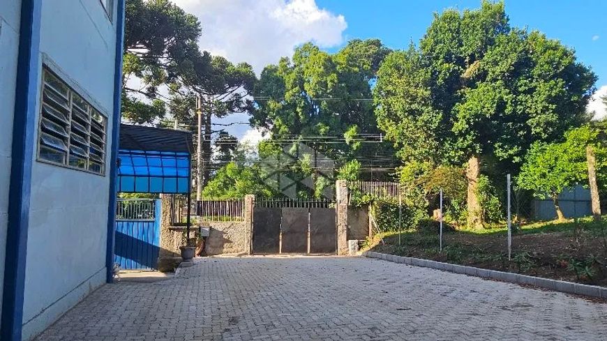 Loja em BELA VISTA