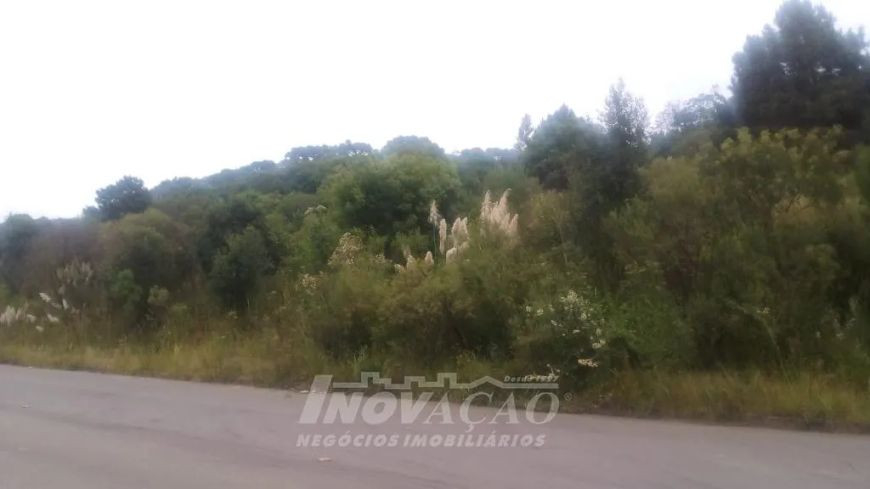 Terreno São Luiz Caxias do Sul