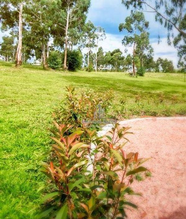 Terreno à venda, 1049 m² por R$ 1.353.726,00 - São Ciro - Caxias do Sul/RS