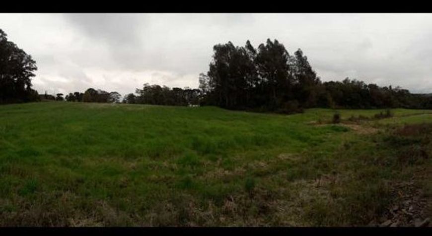 Terreno à venda, 21 m² por R$ 1.200.000,00 - Monte Bérico - Caxias do Sul/RS