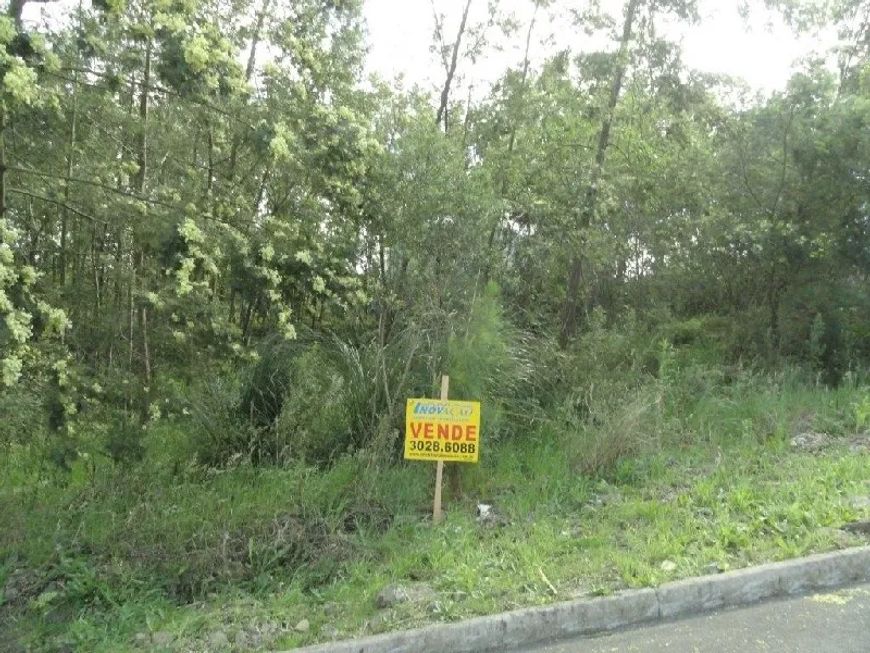 Terreno Desvio Rizzo Caxias do Sul
