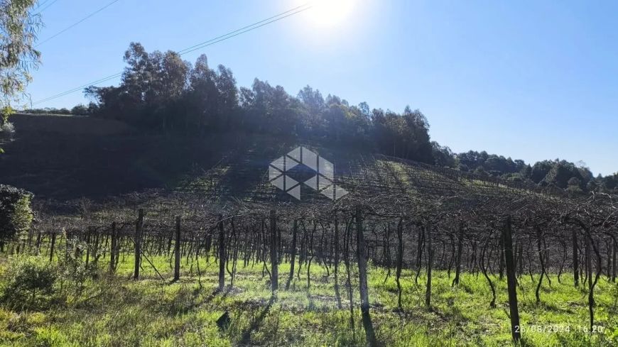 Venda Imperdível: Terreno Rural de 2,4 Hectares!