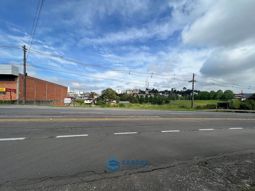 Terreno com frente para BR 116, para locação