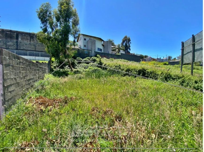 Terreno Cinqüentenário Caxias do Sul