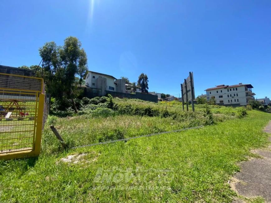 Terreno Cinqüentenário Caxias do Sul