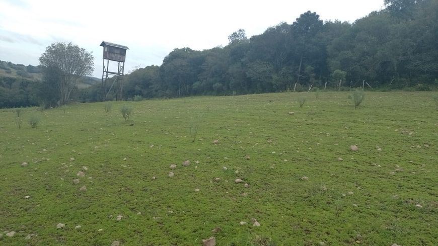 Venda de Área em Caxias do Sul-RS, bairro Criúva
