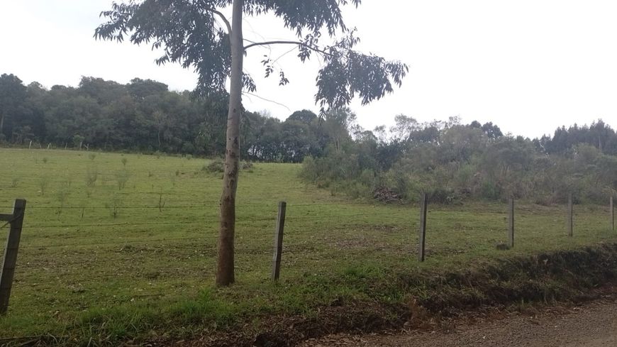 Venda de Área em Caxias do Sul-RS, bairro Criúva