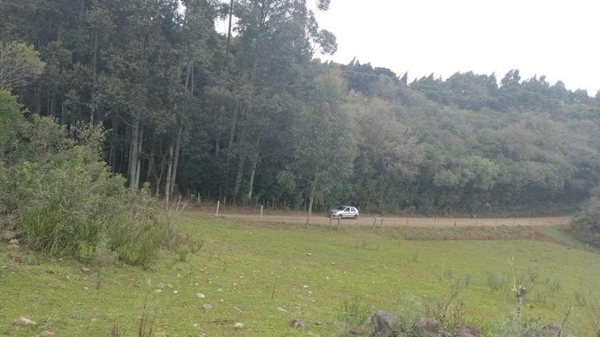 Venda de Área em Caxias do Sul-RS, bairro Criúva