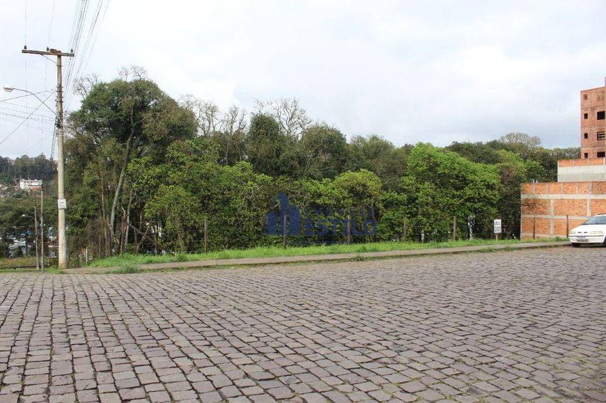 Terreno à venda, 360 m² por R$ 381.000,00 - Vinhedos - Caxias do Sul/RS