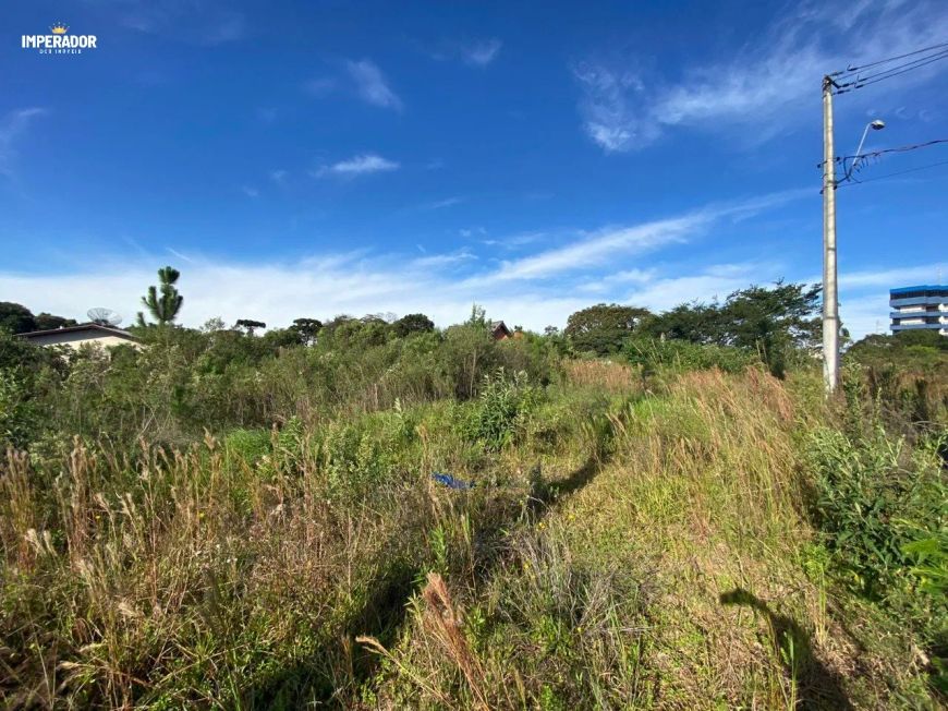Solar Bela Vista
