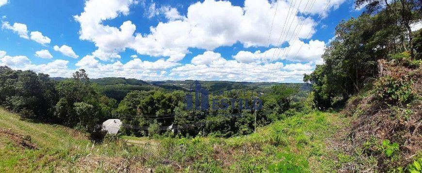 Terreno à venda, 3340 m² por R$ 550.000,00 - Linha 40 - Caxias do Sul/RS