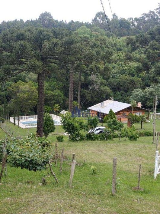 Chácara com 4 dormitórios à venda, 31000 m² por R$ 950.000,00 - Fazenda Souza - Caxias do Sul/RS
