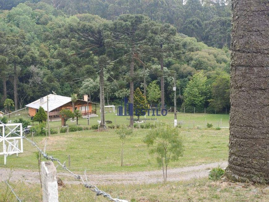 Chácara com 4 dormitórios à venda, 31000 m² por R$ 950.000,00 - Fazenda Souza - Caxias do Sul/RS