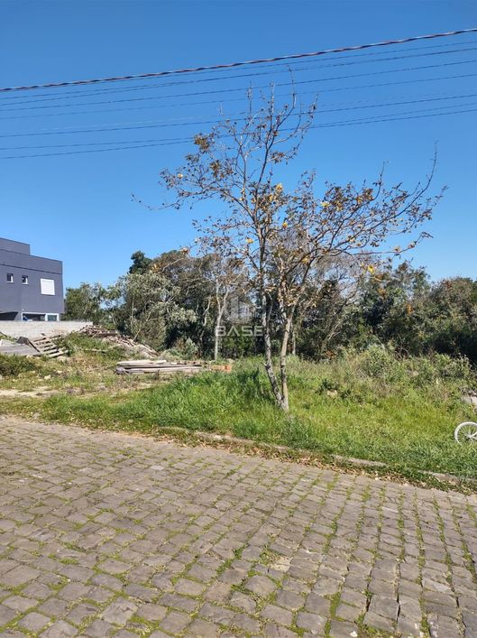 Terreno à venda em Caxias do Sul, no bairro São Luiz. Localizado na Rua Claudino Massochini, este te
