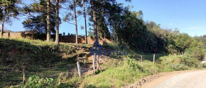 Terreno à venda, 2048 m² por R$ 1.480.000,00 - Galópolis - Caxias do Sul/RS