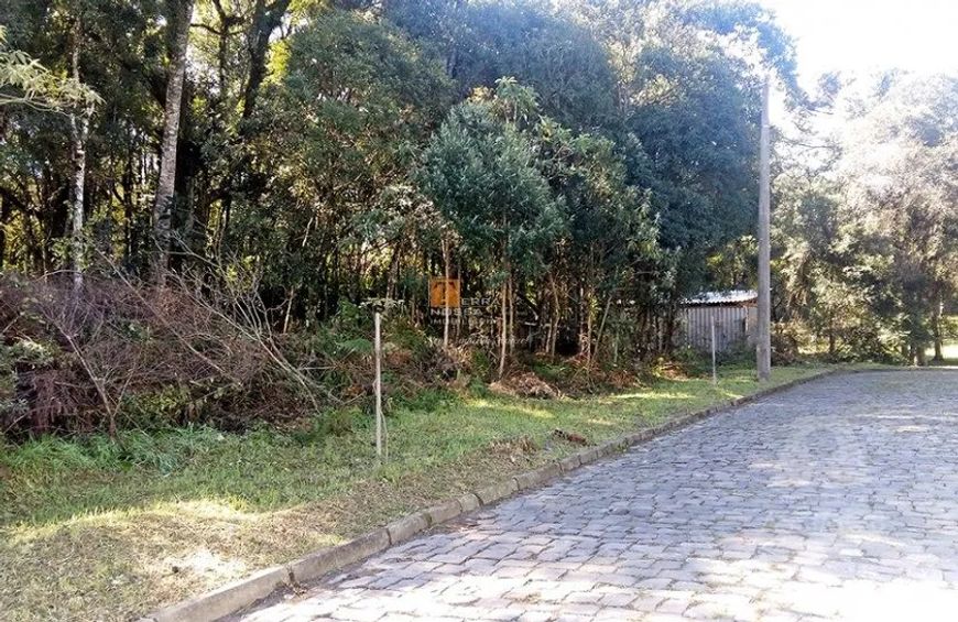 Terreno no Bela Vista em Caxias do Sul-RS