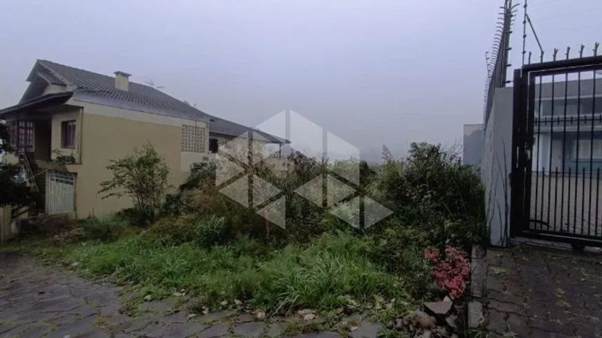 Lote/Terreno em CINQUENTENARIO