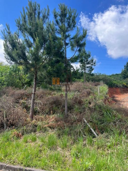 Terreno 394m² Monte Bérico, em Caxias do Sul- RS