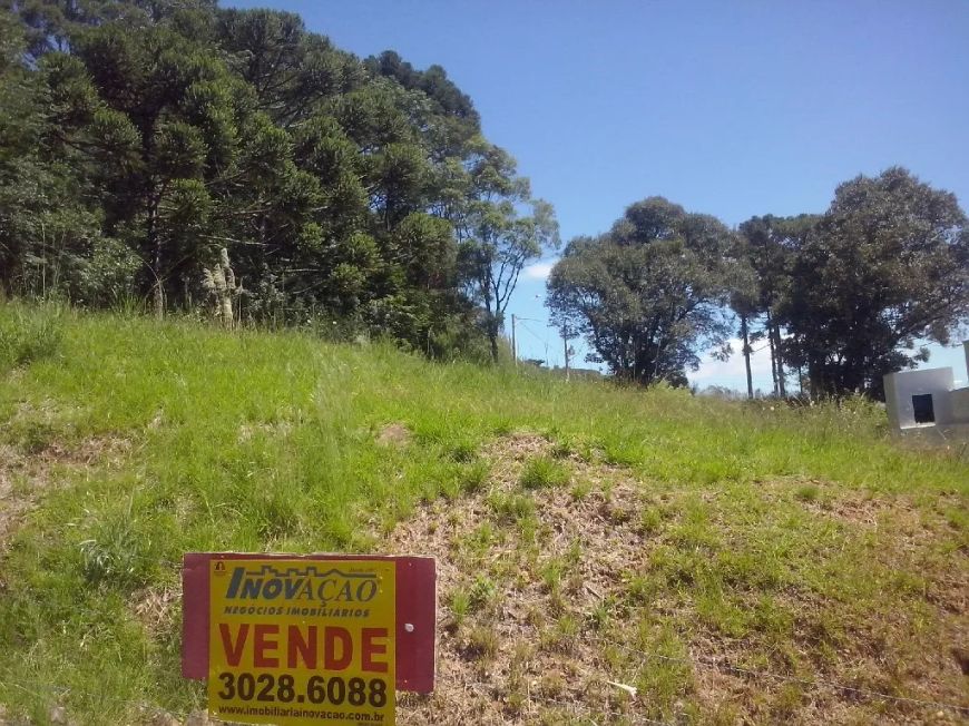 Terreno Monte Bérico Caxias do Sul