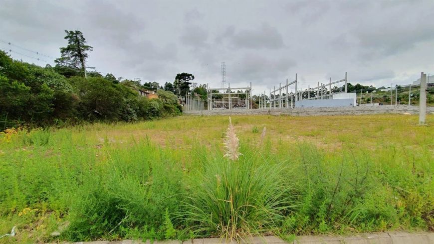 Terreno em excelente posição solar no Bairro Desvio Rizzo! Área: 42,53x85,8 = 3.514,70m. Confira!