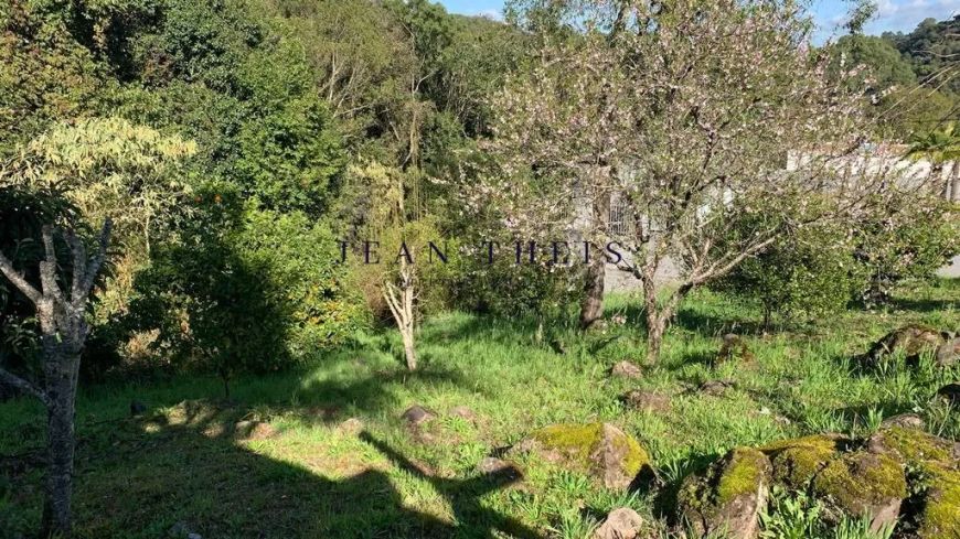 Lote Excepcional no Condado Angel
