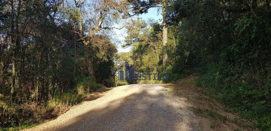 Chácara à venda, 20000 m² por R$ 600.000,00 - Desvio Rizzo - Caxias do Sul/RS
