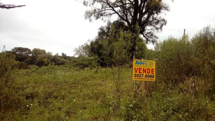 Terreno Desvio Rizzo Caxias do Sul