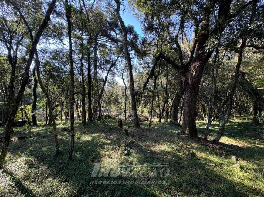 Terreno Linha 40 Caxias do Sul