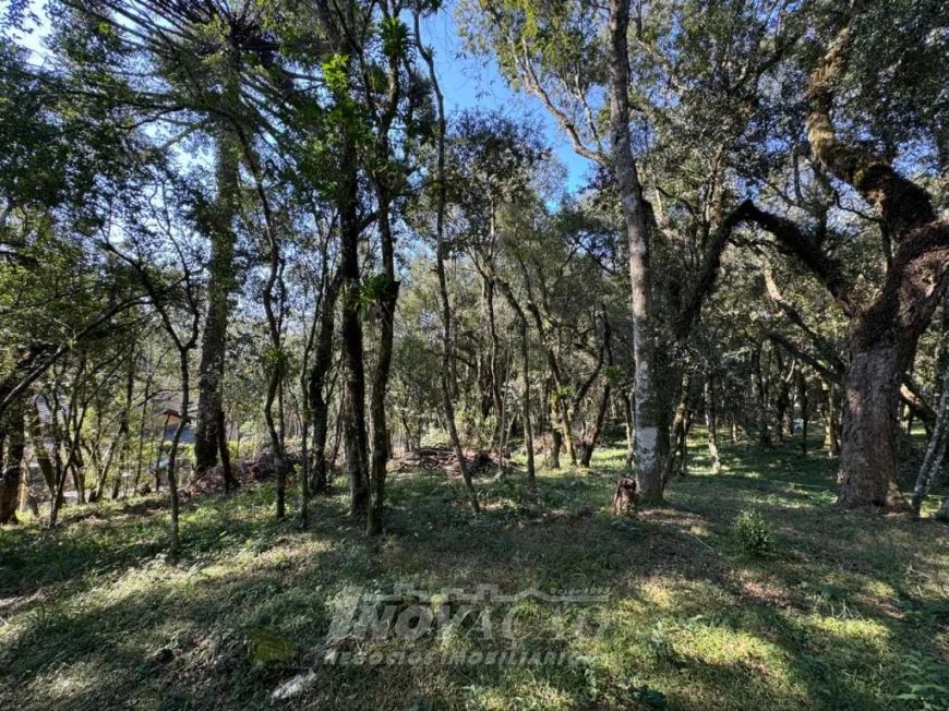 Terreno Linha 40 Caxias do Sul