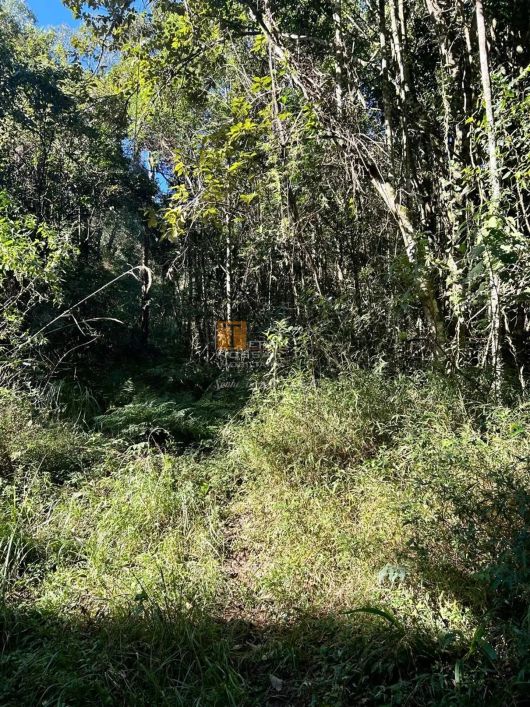Chácara à venda 2 hectares, Fazenda Souza-RS.