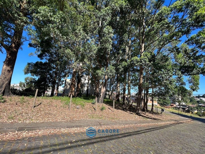 Terreno de esquina no bairro Sanvitto