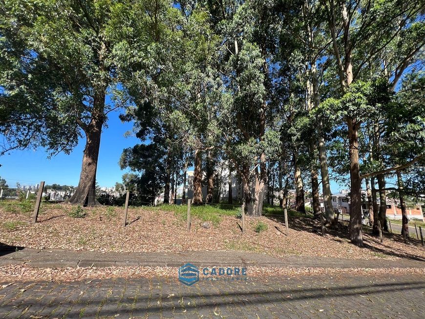 Terreno de esquina no bairro Sanvitto