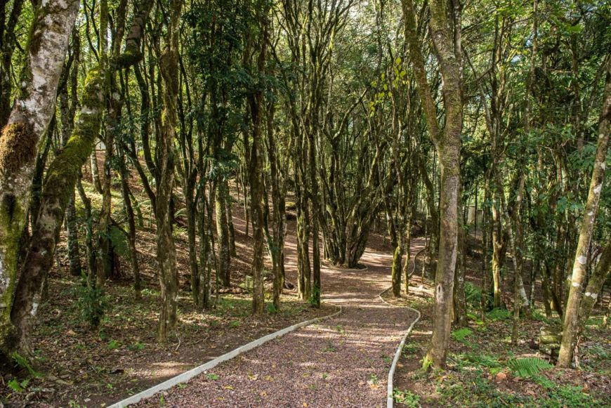 Excelente terreno localizado no Condomínio Vicinno, B. Pedancino! Condomínio com infraestrutura comp