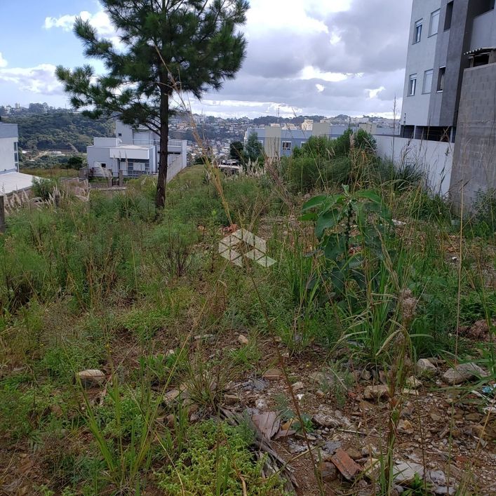 Terreno de 12,00 m² X 31,00 m² com área total de 372,00 m² no Bairro São Luiz em Caxias do Sul !!!!