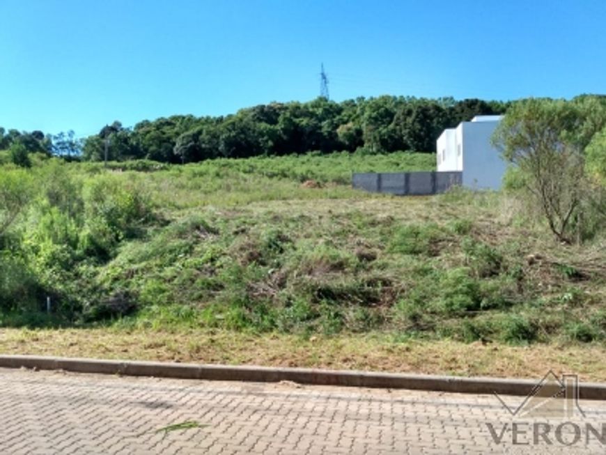 Boa vista Loteamento Residencial