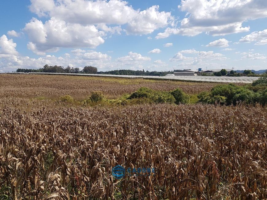 Área de terras para industria, Em Farroupilha RS
