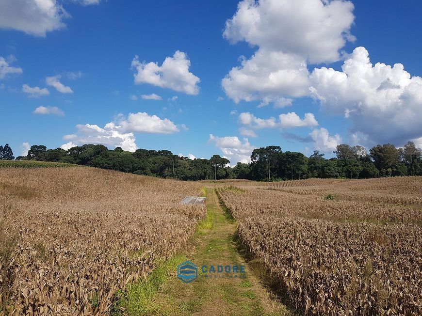 Área de terras para industria, Em Farroupilha RS