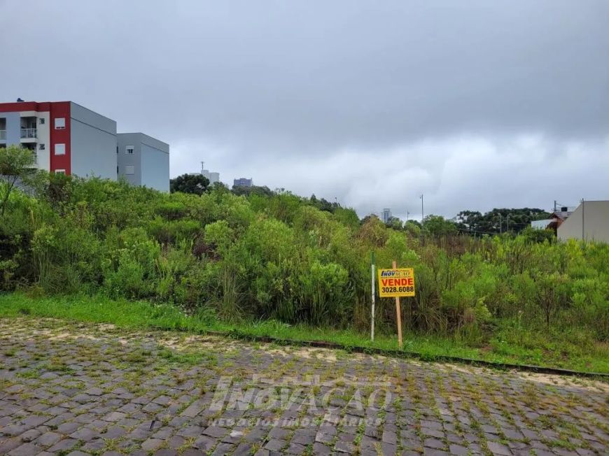 Terreno Vinhedos Caxias do Sul