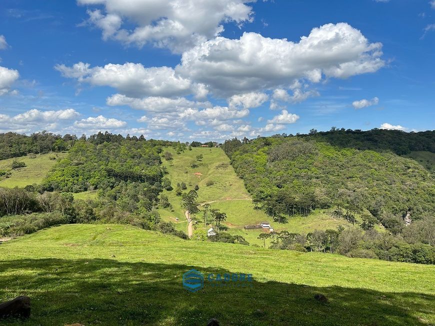 Chácara com 14,1 hectares, a venda