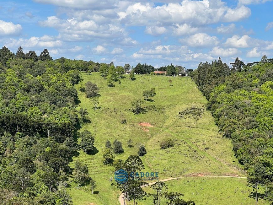 Chácara com 14,1 hectares, a venda